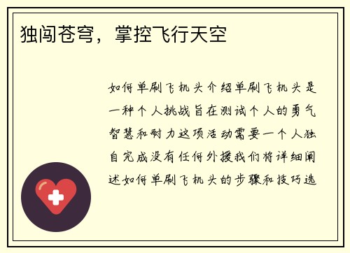 独闯苍穹，掌控飞行天空
